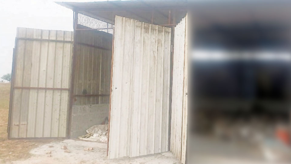 Cattle bones, skulls raise a stink at Mandya village warehouse