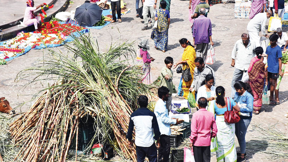 Crowds throng markets for Sankranti shopping