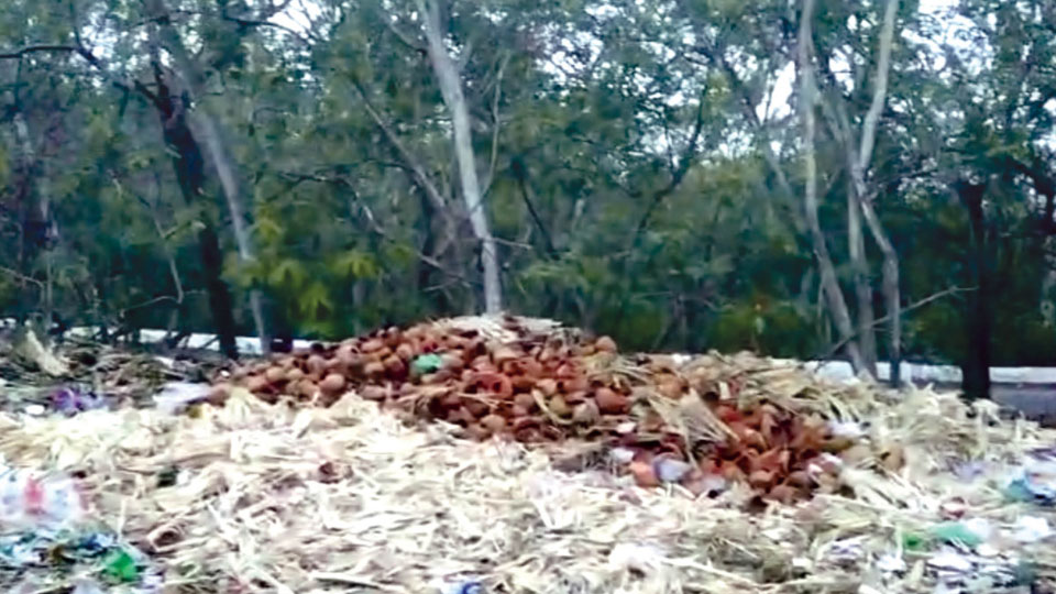 Chamundi Hill grapples with mounting waste crisis