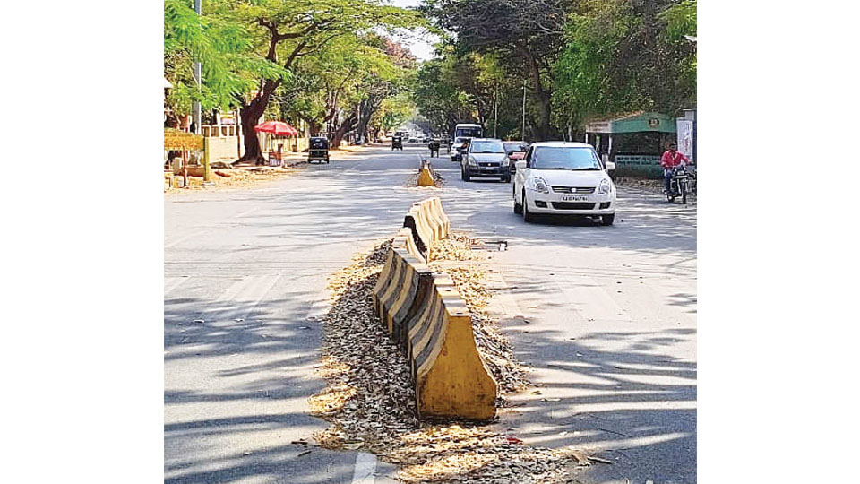 Concrete medians posing danger on Adichunchanagiri Road