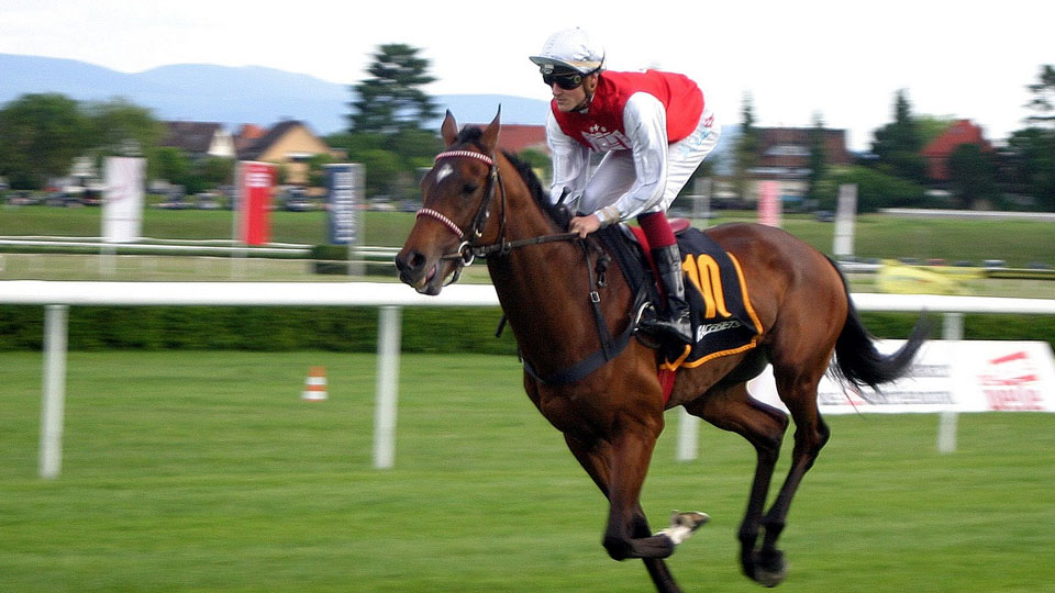 Everything You Need to Know About Jump Racing: Biggest Global Events and Origins
