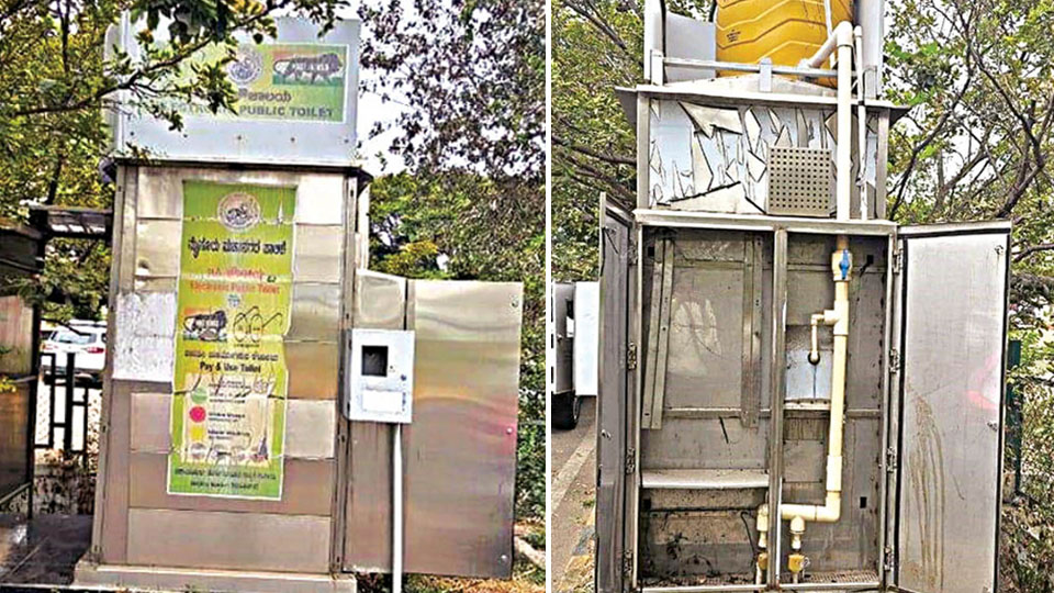 e-toilets reek of official apathy