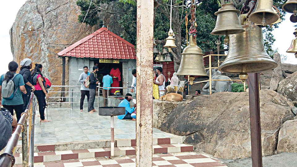 Guides to accompany devotees visiting Nagamale near MM Hills