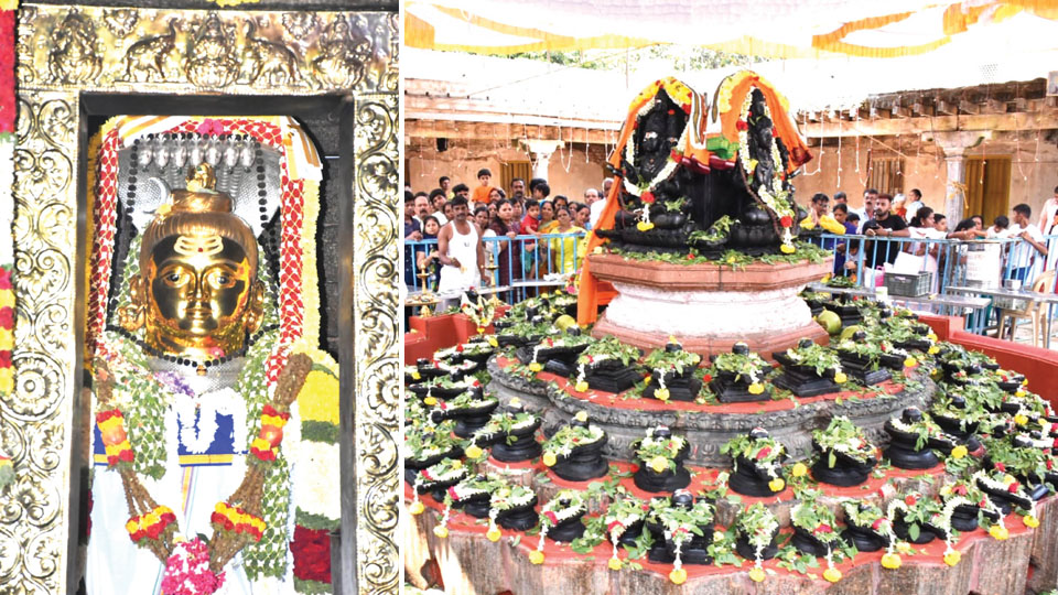 Mahashivarathri festival celebrated