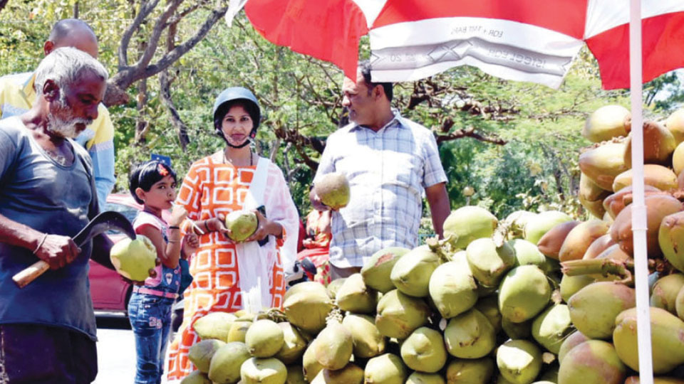 Tender coconut price shoots up to Rs. 50