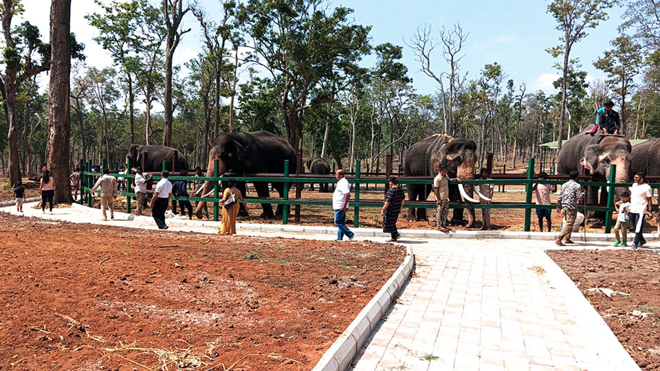 Mathigodu Elephant Camp opened for tourists