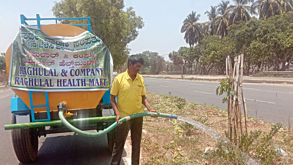 Watering green with voluntary help