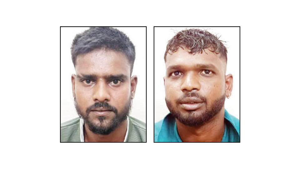 Two arrested for assaulting cop