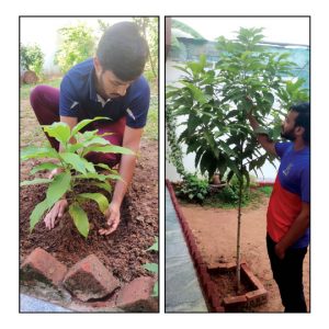 Young voter promotes planting of saplings for first-time voters