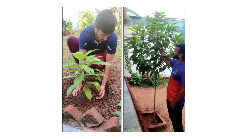 Young voter promotes planting of saplings for first-time voters