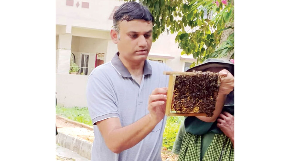 Workshop to promote urban bee-keeping on Apr. 28