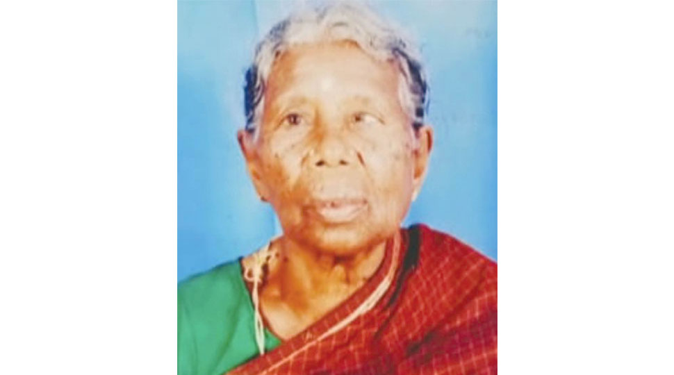 90-year-old dies after voting in Hunsur