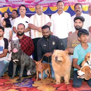 Over 80 dogs take part in breed championship
