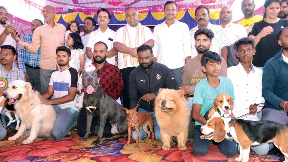 Over 80 dogs take part in breed championship