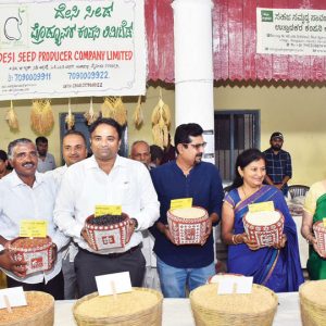 Desi Rice Mela begins in city