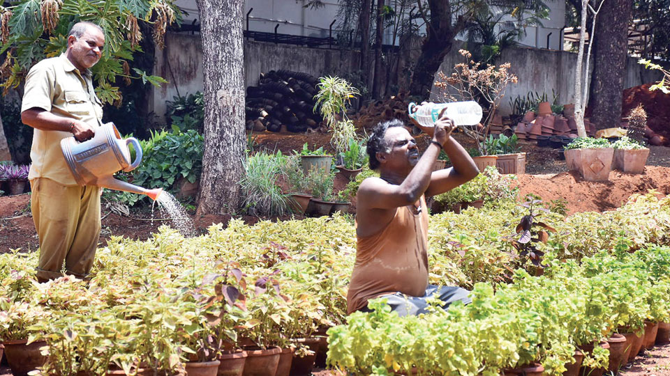 12 districts including Mysuru to experience heatwave conditions