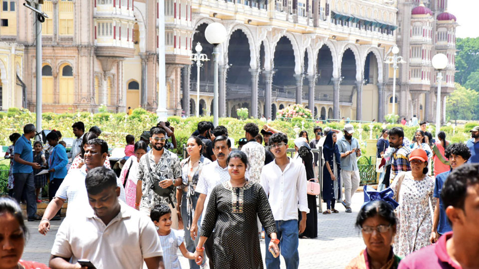 Tourists at Palace