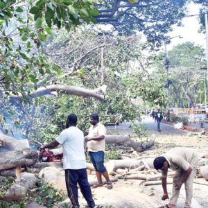 MCC takes up rain relief work on a war-footing