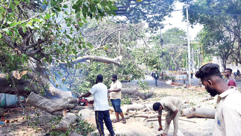 MCC takes up rain relief work