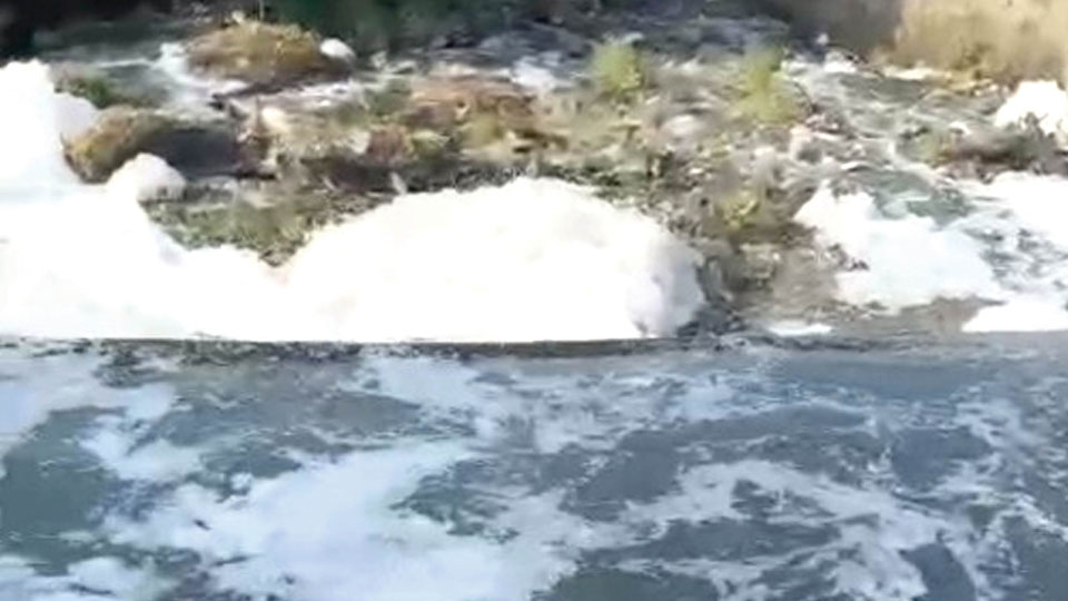 Sewage water from Mysuru to Mandya raises health concerns