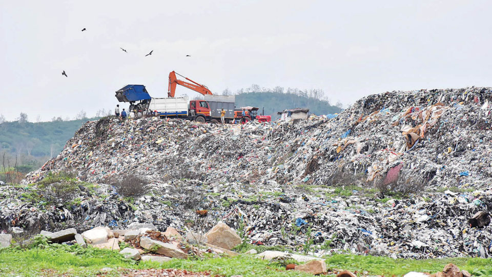 Solid waste clearance at Vidyaranyapuram: Petition filed in High Court against tender process