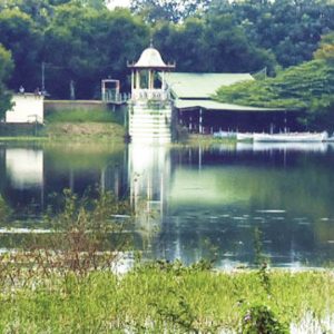 Rejuvenation of Kukkarahalli Lake: Outsourcing DPR-preparation upsets environment activists