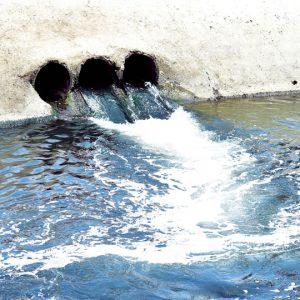 Flow of sewage into Cauvery River | Form investigation team of technical experts: MLC