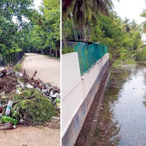 Hootagalli CMC clears dead fish from Hebbal Lake