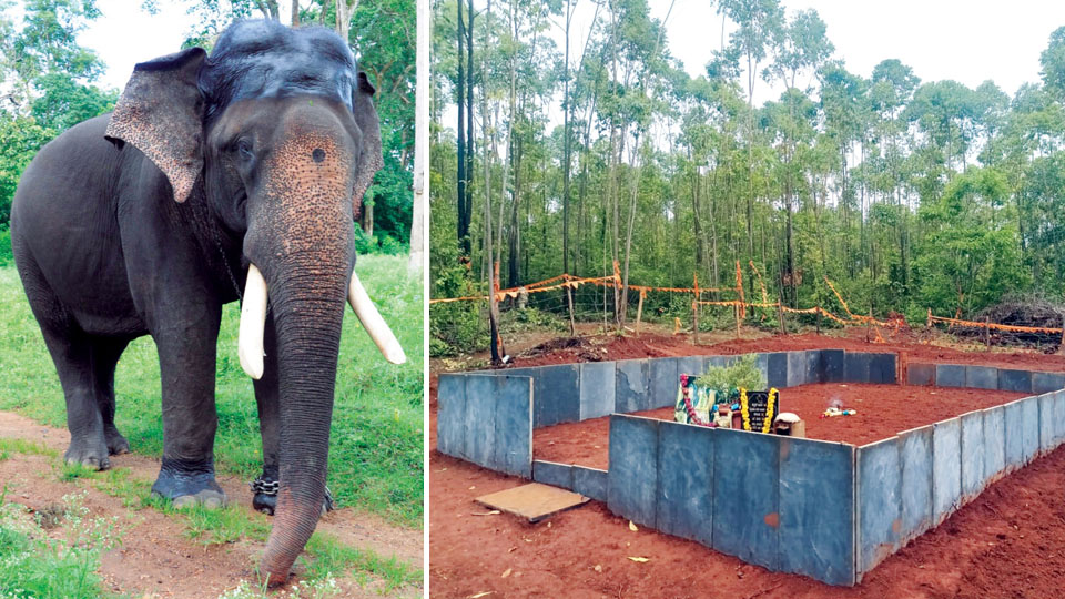 Dasara elephant Arjuna gets a memorial at his burial site