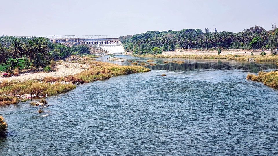 Inflow into KRS Dam