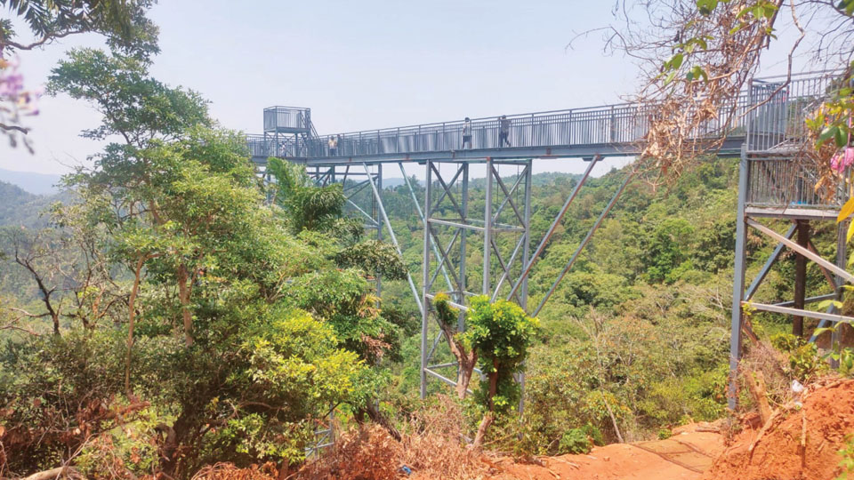Glass bridge in Madikeri faces landslide risk; closed  