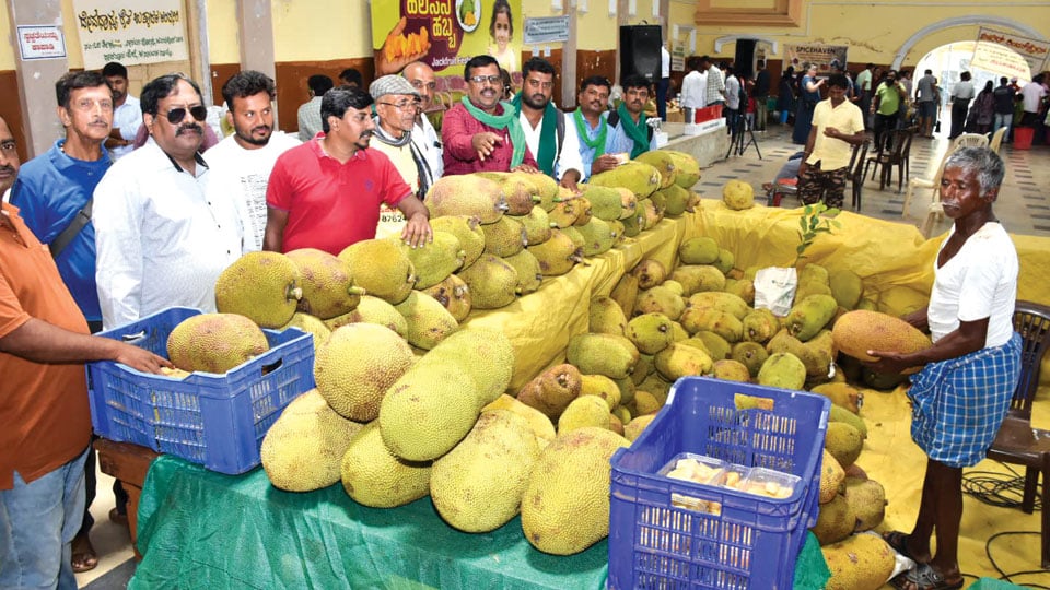 Two-day Jackfruit Festival begins