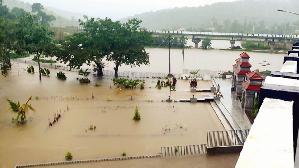 Monsoon revives in Kodagu with incessant rains