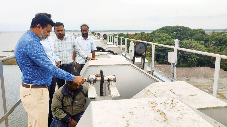 Increased inflow prompts greasing of KRS Dam crest gates