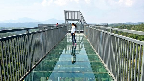 Kodagu DC orders closure of all glass bridges till Sept. 15 - Star of ...