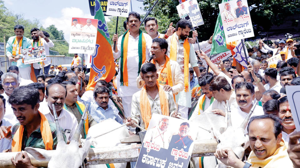 As BJP takes out bullock cart protest against fuel hike… Siddaramaiah blames GST regime for taxes on auto fuel