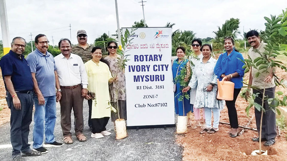 Rotary Ivory City’s Green Initiative