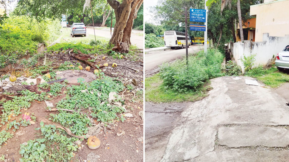 Woes of Ramakrishnanagar 18th Cross residents