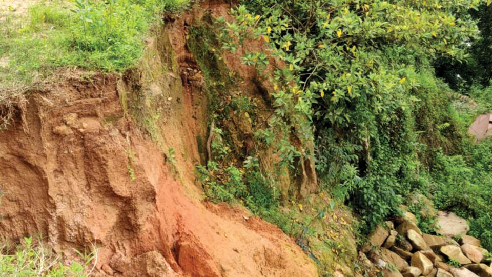 Echo of Wayanad landslide tragedy: Geologists team to assess landslide risks in Kodagu