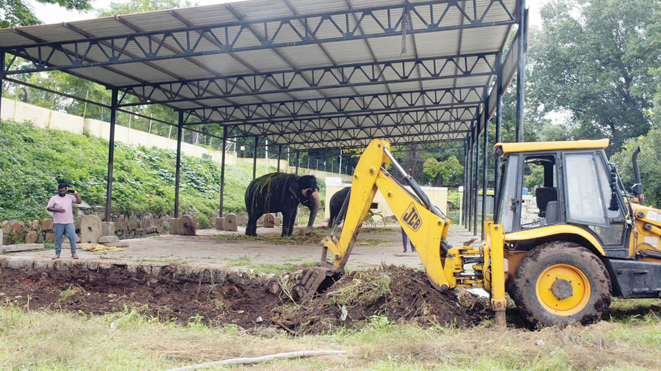 Palace ready to welcome jumbos