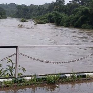 Kodagu sees an increase of 1,031.02 mm rainfall in 2024