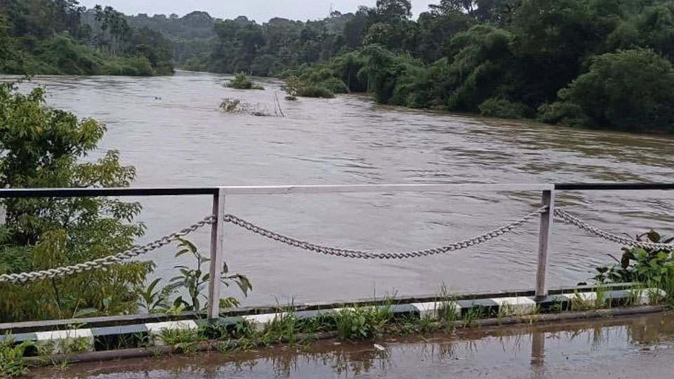 Kodagu sees an increase of 1,031.02 mm rainfall in 2024