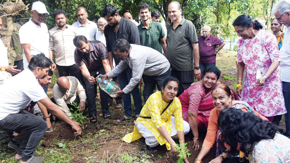 Sandalwood sapling plantation drive launched in Yadavagiri