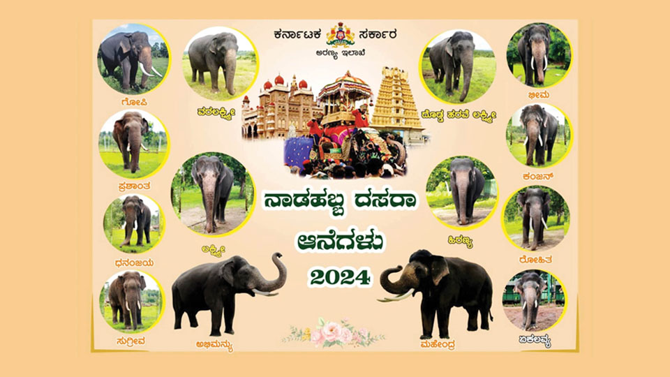 Forest Minister releases list of 14 Dasara elephants