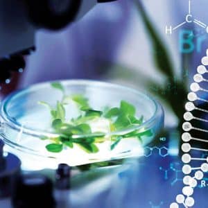 AGRICULTURAL BIOTECHNOLOGY: Revolutionising Farming for Future