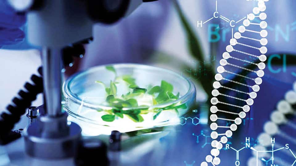 AGRICULTURAL BIOTECHNOLOGY: Revolutionising Farming for Future