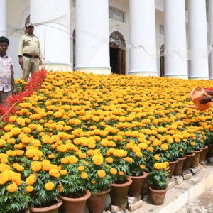 Flower pots adorn Crawford Hall