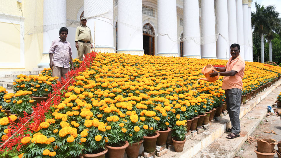 Flower pots adorn Crawford Hall