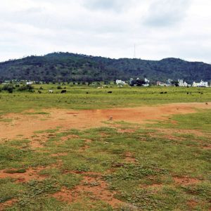 Yuva Dasara shifted to city outskirts