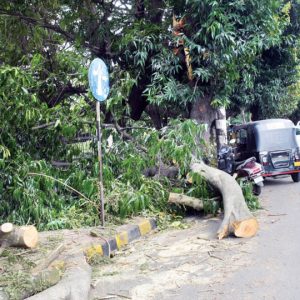 Plea to clear all obstructions on city roads